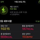 익명동물2005-식 | 인천논현 헬스장 24시 가격 일주일 1키로 감량