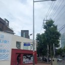 홍대타로 잘보는 명가람 사주타로 재밌게 보고온 후기
