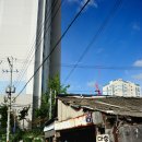 영신목재 이미지