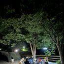 울산 오토캠핑장 들살이오토캠핑장 나무그늘 짱!