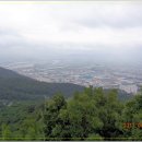 김해화원 이미지