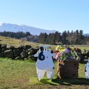 미소플레이스 이미지