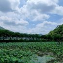 홍지주차장(광제산) 이미지