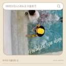파라다이스스파도고 | 아산 파라다이스 스파 도고 워터파크 내돈내산 후기(with 초등학생)