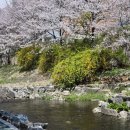 삼호교 화장실 이미지