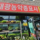 대광농장2 네이버블로그