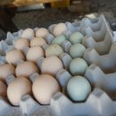 기러기민박 이미지