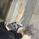 플래티커피