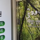 곶자왈지압안마원 이미지