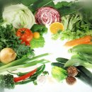 농업법인(주)참 이미지