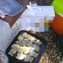 영남대학교(영덕수련원) 이미지