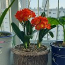 현서아트 이미지