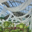 꽃 꿀방 이미지