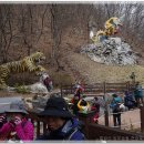 천장호 출렁다리 이미지