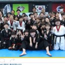 경희대신나무태권도장 이미지