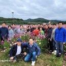 2024.10.19 대구 팔공산 자락 -한송 식당-금호강 하중도- 본가 어탕 이미지