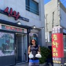 신왕 | 제주 또간집 성산 중국집 신왕 냉우동 고추쟁반짜장 후기
