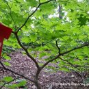 (주)선화정비 이미지