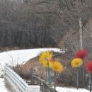 돼지전설 이미지