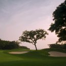 봉의목장 이미지