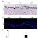 이선생뷰티 이미지