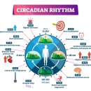 인체 - 리듬 이미지