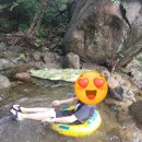 섬진강 더골드 이미지