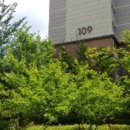 365고운약국 이미지