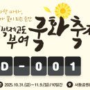 꿈꾸는 백마강 | 2025 부여국화축제 기본정보 일정 궁남지
