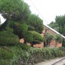 바닷가돌빌레 이미지