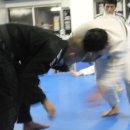 파라에스트라