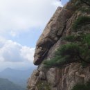 오솔육교1 이미지