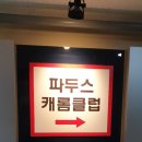 파두스캐롬클럽 이미지