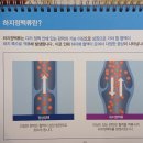 치매예방 ㅡ인지교육241104 이미지