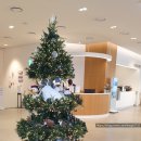 주식회사 현대백화점 판교점 이미지