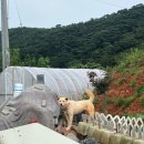 신진도약국 | 가의도펜션ㅣ태안 가족펜션 추천 , 여름휴가 추천