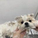 러브몽먼트 이미지