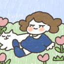로봇초밥마켓수원성대점 이미지