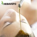 헤바베오 (Hebavepo)