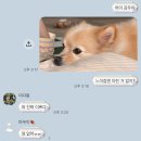 호야샤브 | [한달일기] 2월, ~대충 알고 좋아하고 다 알고 싫어하자~