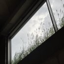 벙크오프