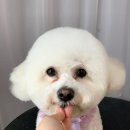 큐티살롱 이미지