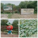 예당공원민박