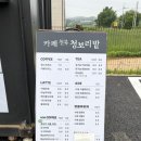 보령애견 | 보령 천북 청보리밭 카페 6월 내돈내산 후기 애견동반 및 입장료 총정리