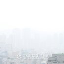 봉의산유통 강원도민일보
