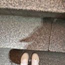 230 | 나이키운동화 코르테즈 브라운카카오 여자 데일리 추천 내돈내산 (사이즈 230 후기)