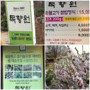 원광고 근처 - 1588 | 남양주에 쌈밥정식으로 유명한꿀맛집- 목향원 솔직한후기