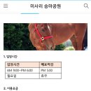 미사리 승마공원 이미지