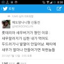 롯데리아 새우버거 이미지