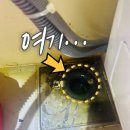 솔세탁실 | 세탁기 배수구 청소 후기｜세탁실 냄새 원인은 이것 때문!